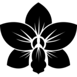 Orkide