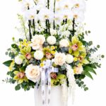 White Orchid Luxe Aranjman