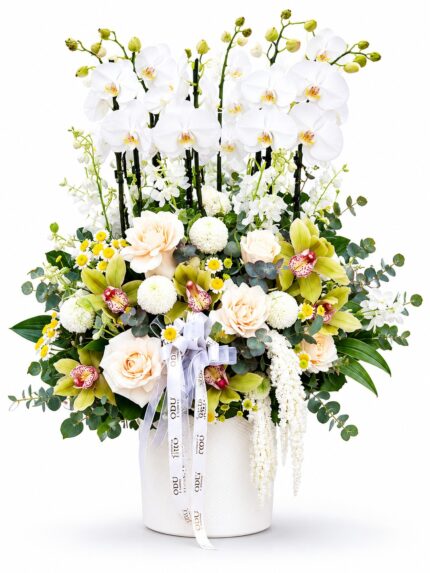 White Orchid Luxe Aranjman